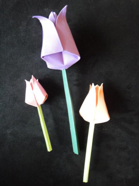 origami papīra tulpju raksts